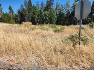 MLS #SN26176028 image #0