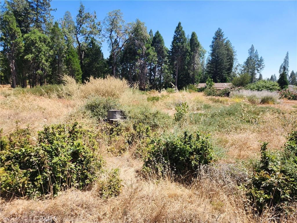 MLS #SN26176030 image #0