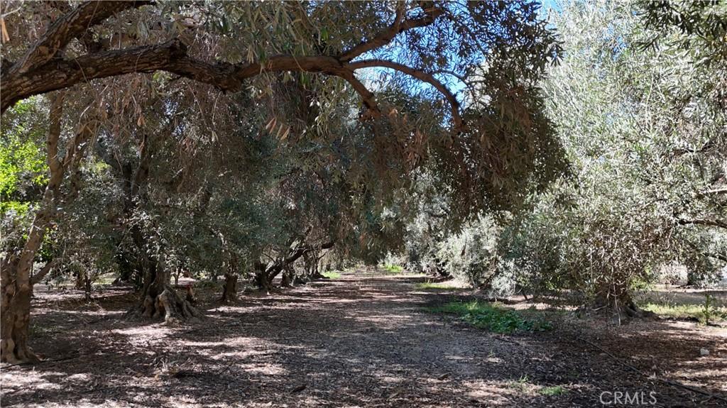 23265 Viola ave Corning CA 96021 | MLS #SN26179040 41 MLS #SN26179040 image #0