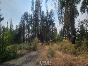 MLS #SN26190799 image #0