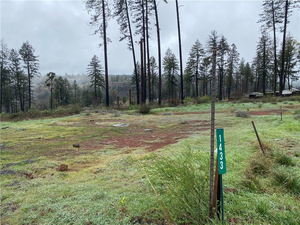 1433 Coldren Paradise CA 95969 | MLS #SN26192920 45 MLS #SN26192920 image #0