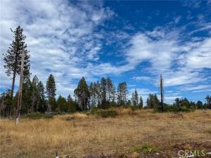 MLS #SN26202206 image #0