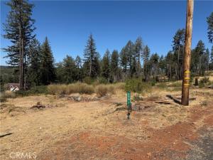 6691 Quail Paradise CA 95969 | MLS #SN26203347 45 MLS #SN26203347 image #0