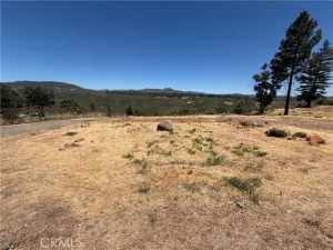 broker reciprocity