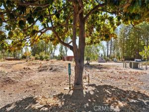 1488 Saint Peters Court Paradise CA 95969 | MLS #SN26214023 45 MLS #SN26214023 image #0