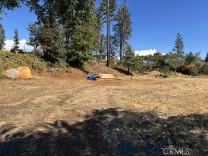 5658 Cathy Paradise CA 95969 | MLS #SN26218604 45 MLS #SN26218604 image #0