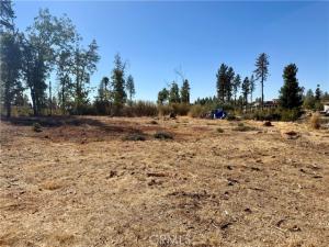 MLS #SN26224813 image #0