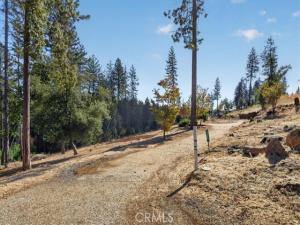 1712 Connell Lane Paradise CA 95969 | MLS #SN26228451 45 MLS #SN26228451 image #0