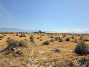 Lancaster Bl / 108 St E Lancaster CA 93535 | MLS #SR22252998 41 MLS #SR22252998 image #0