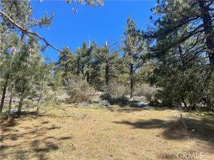 MLS #SR23065161 image #0