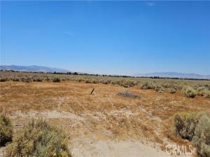 MLS #SR23103929 image #0