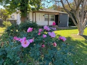 15144 Martha StreetSherman Oaks img 4