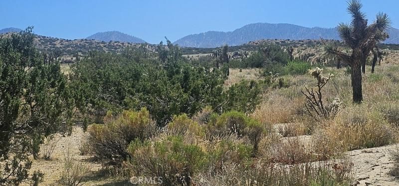 MLS #SR23164424 image #0