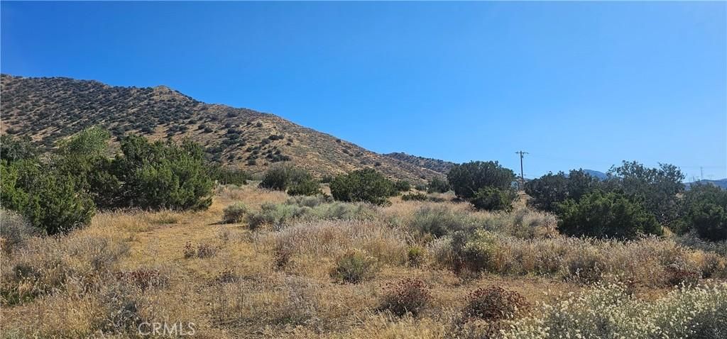 MLS #SR23191729 image #0