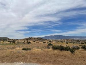 MLS #SR24022026 image #0