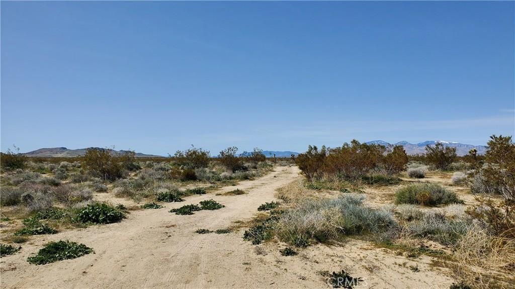 MLS #SR24049521 image #0