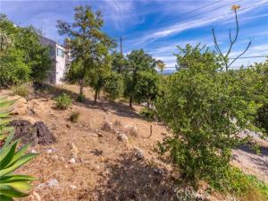 MLS #SR24081879 image #0