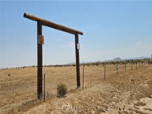 MLS #SR24090862 image #0