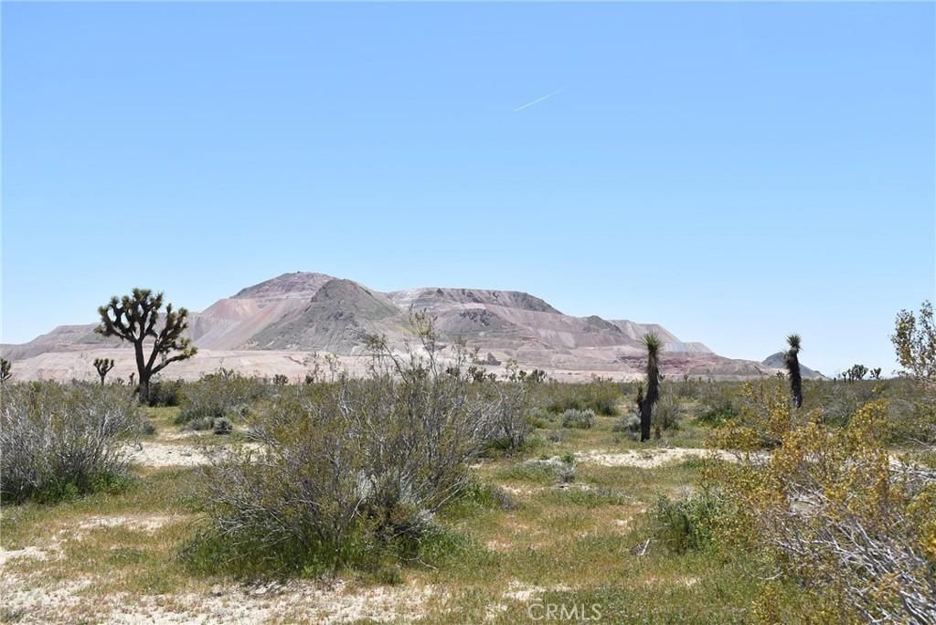 MLS #SR24114711 image #0