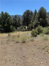 MLS #SR24133697 image #0