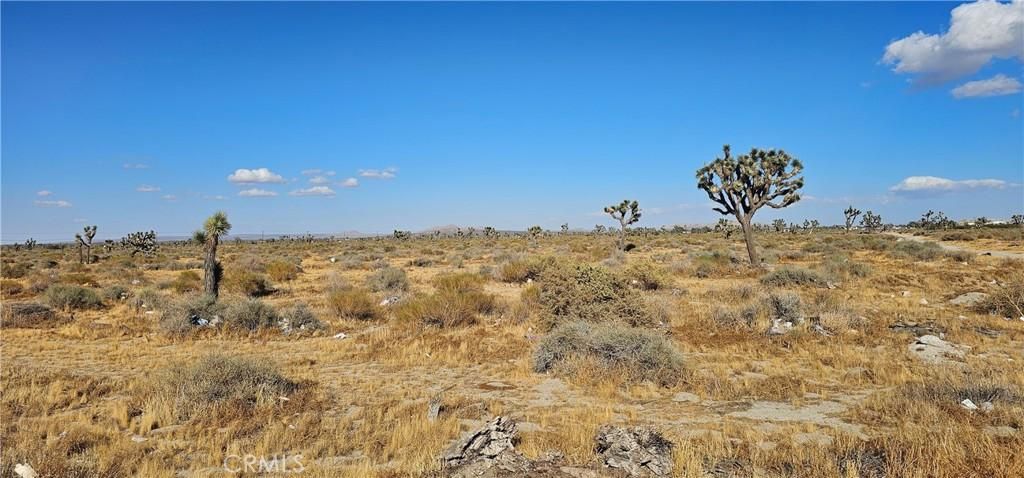 MLS #SR24187456 image #0