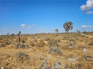 MLS #SR24187456 image #0