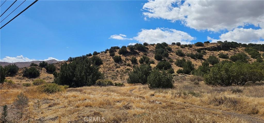 MLS #SR24198621 image #0