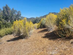 MLS #SR24200950 image #0
