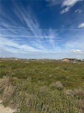 MLS #SR24201209 image #0