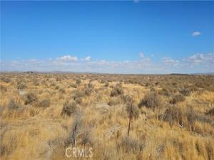 MLS #SR24202014 image #0