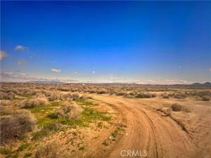 MLS #SR24203938 image #0