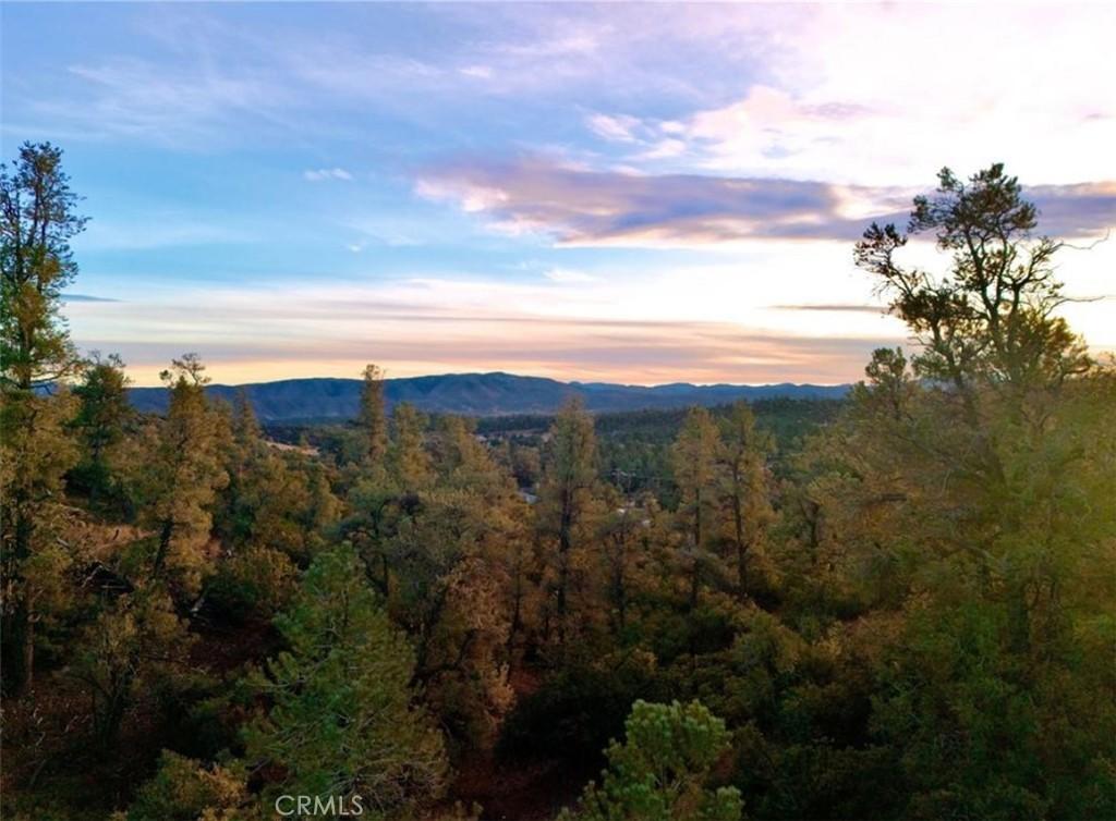 MLS #SR24214894 image #0