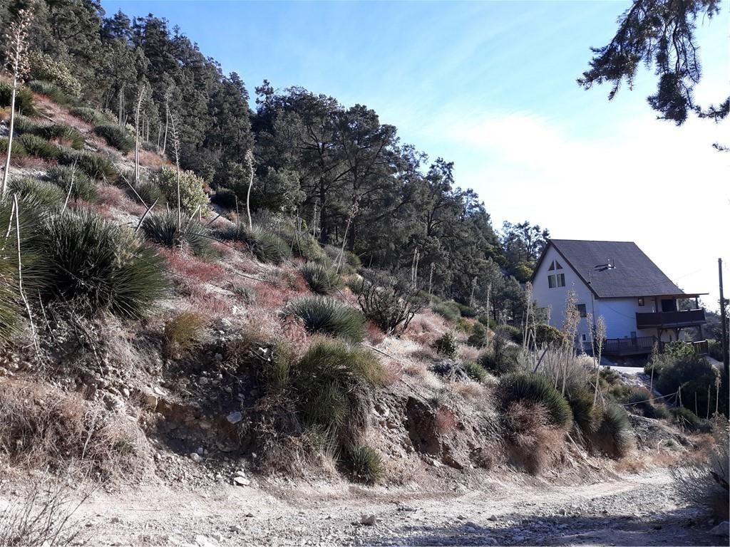 MLS #SR24233572 image #0