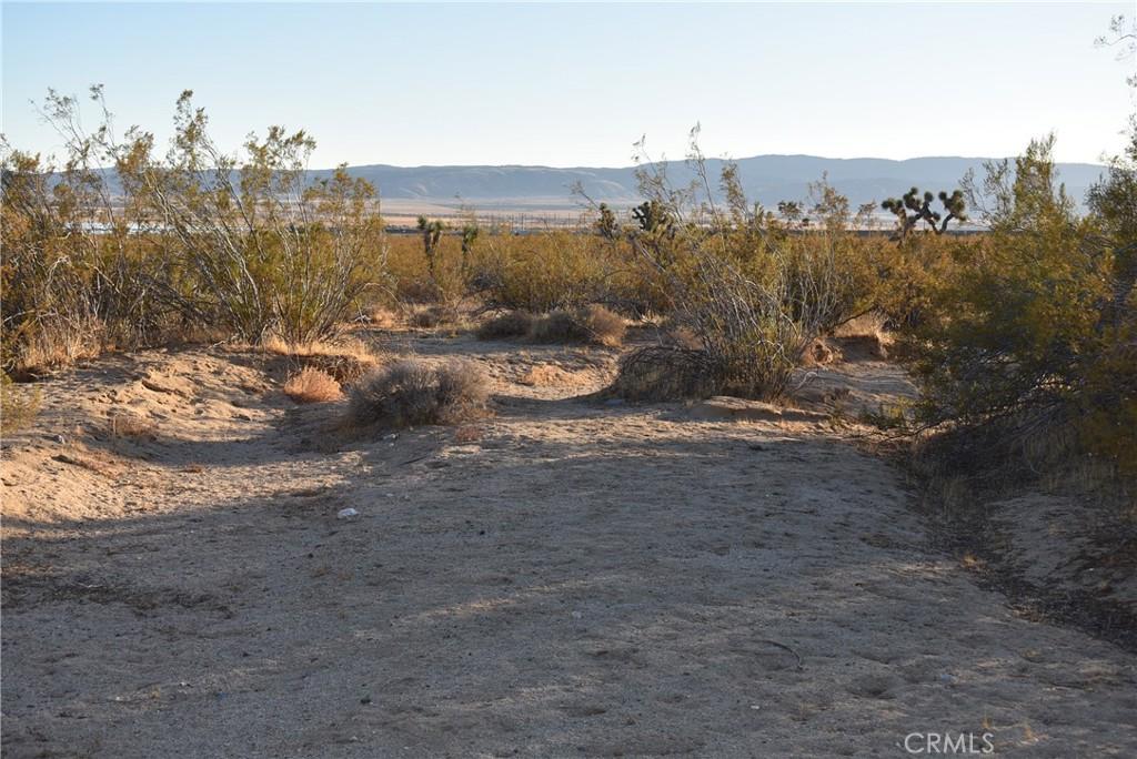MLS #SR24238366 image #0