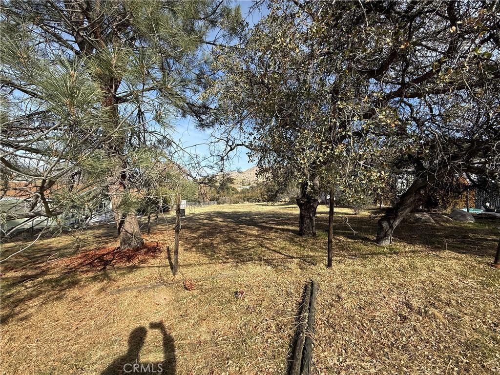 MLS #SR25009758 image #0