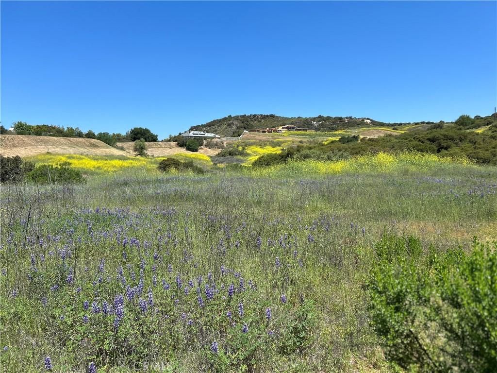 MLS #SR25012563 image #0