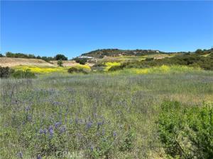 MLS #SR25012563 image #0