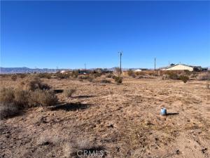 MLS #SR25015445 image #0