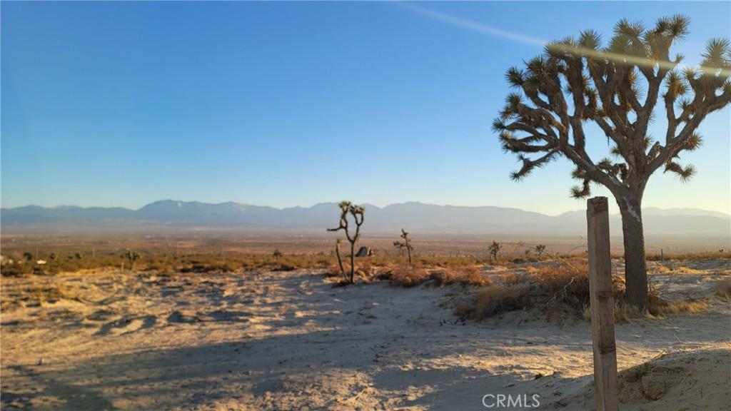 MLS #SR25015945 image #0