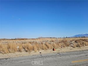 MLS #SR25019652 image #0