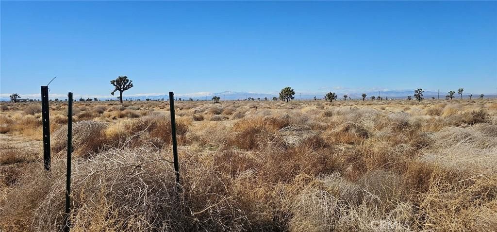 MLS #SR25019666 image #0