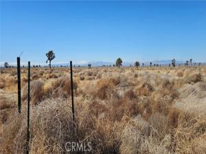 MLS #SR25019666 image #0