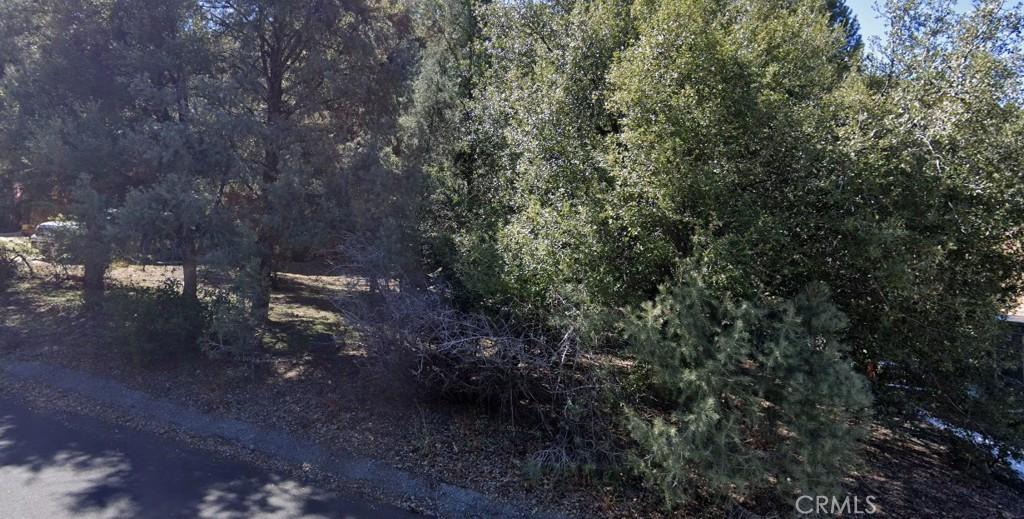 MLS #SR25035640 image #0