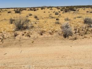 MLS #SR25040640 image #0