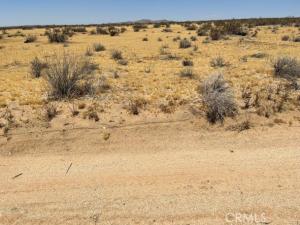 MLS #SR25040640 image #0