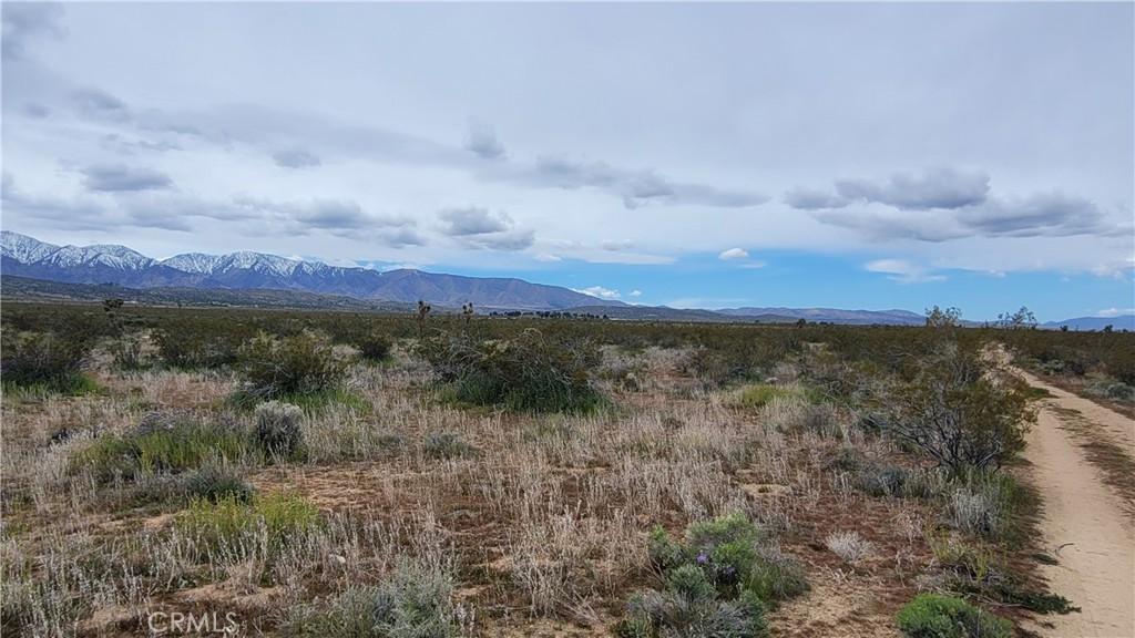 MLS #SR25047645 image #0