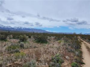 MLS #SR25047645 image #0