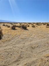 MLS #SR25053430 image #0