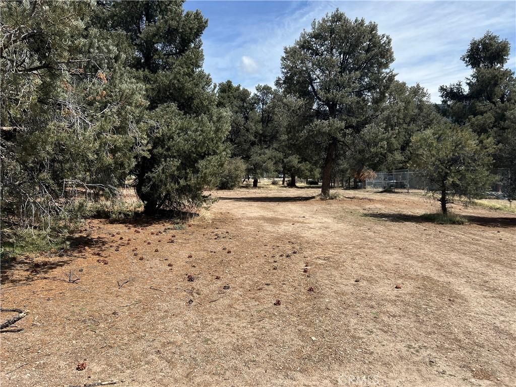 MLS #SR25071377 image #0