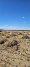 E Avenue M-4 225th East Lot 4 Lancaster CA 93535 | MLS #SR25072378 41 MLS #SR25072378 image #0